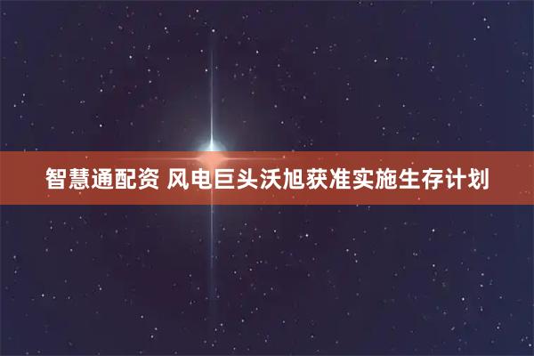 智慧通配资 风电巨头沃旭获准实施生存计划